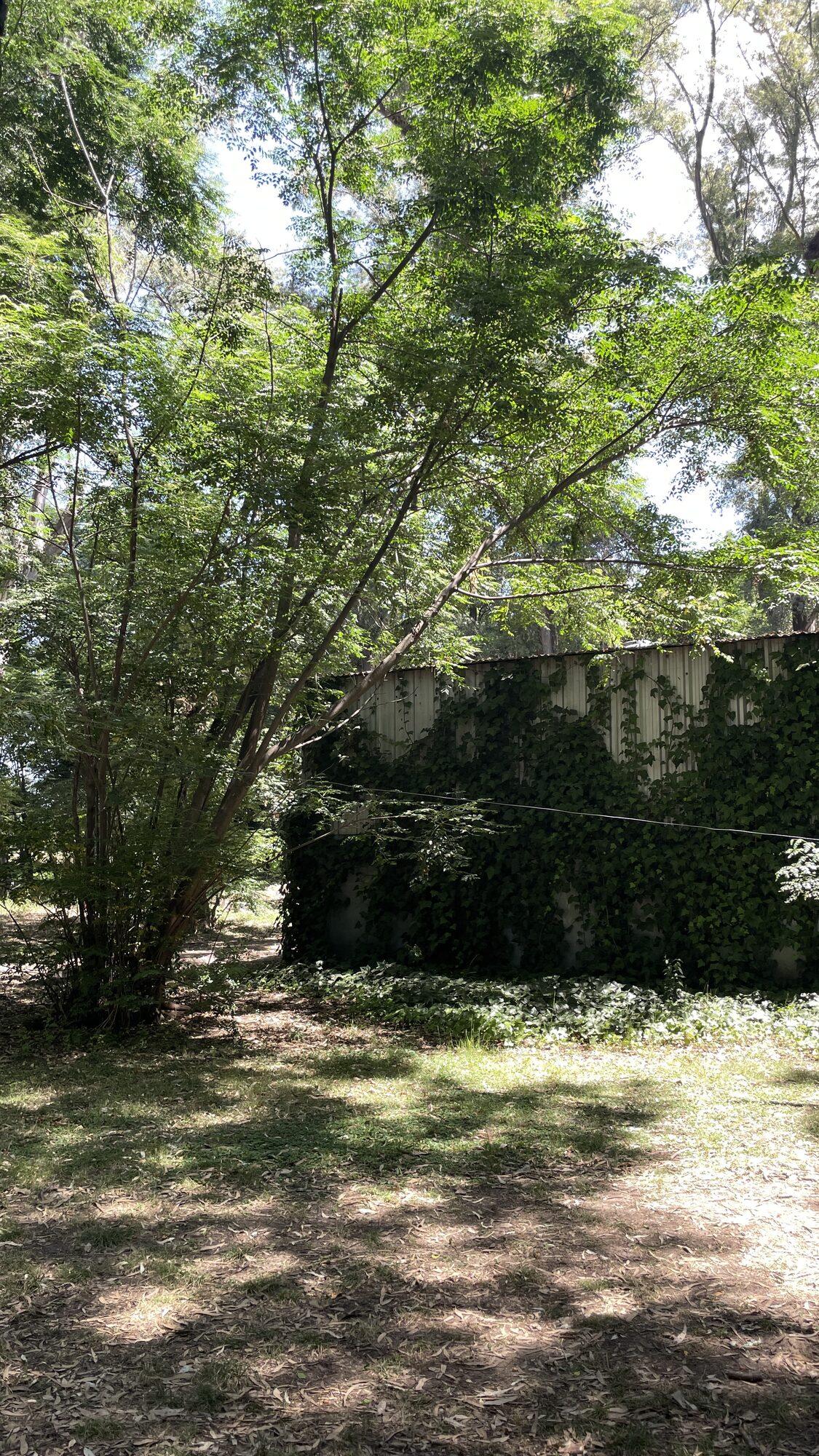 Lobos - Casa de Campo en Lobos — foto 17