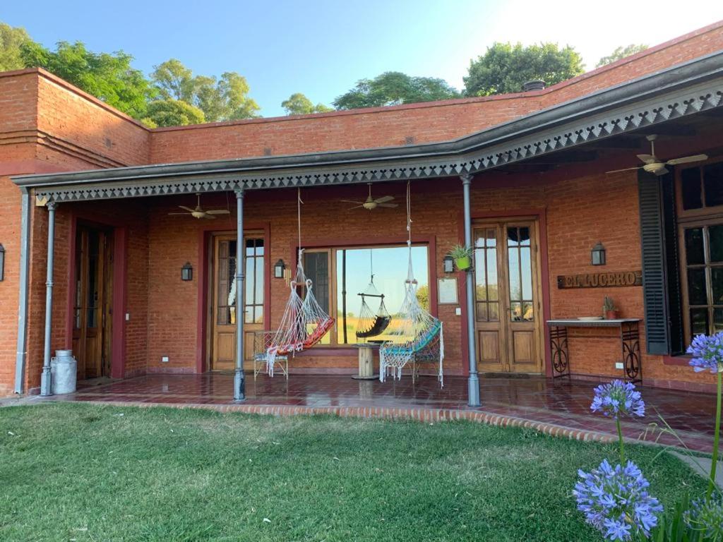 Galeria