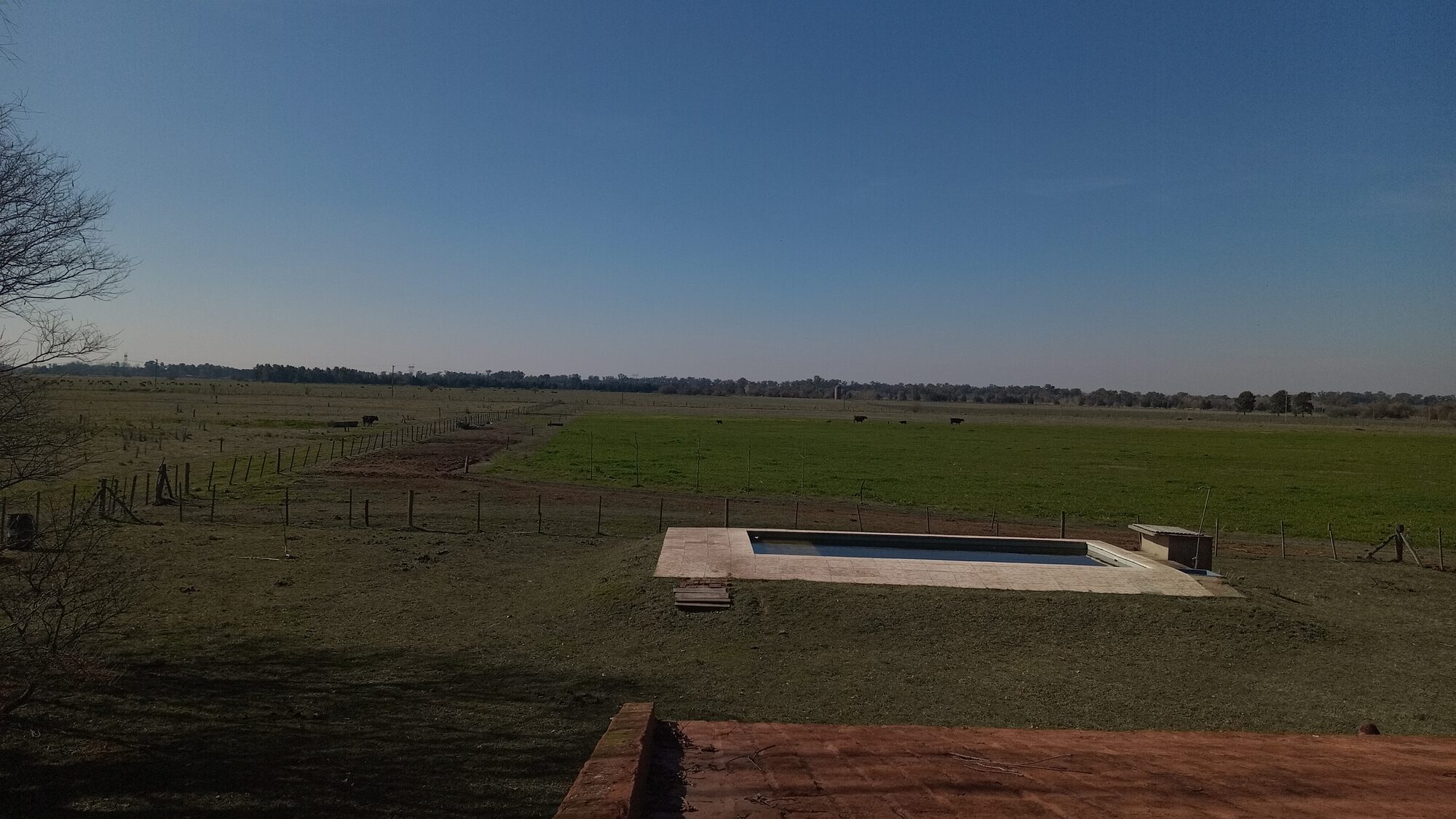 Vicente Casares - Campo — foto 15