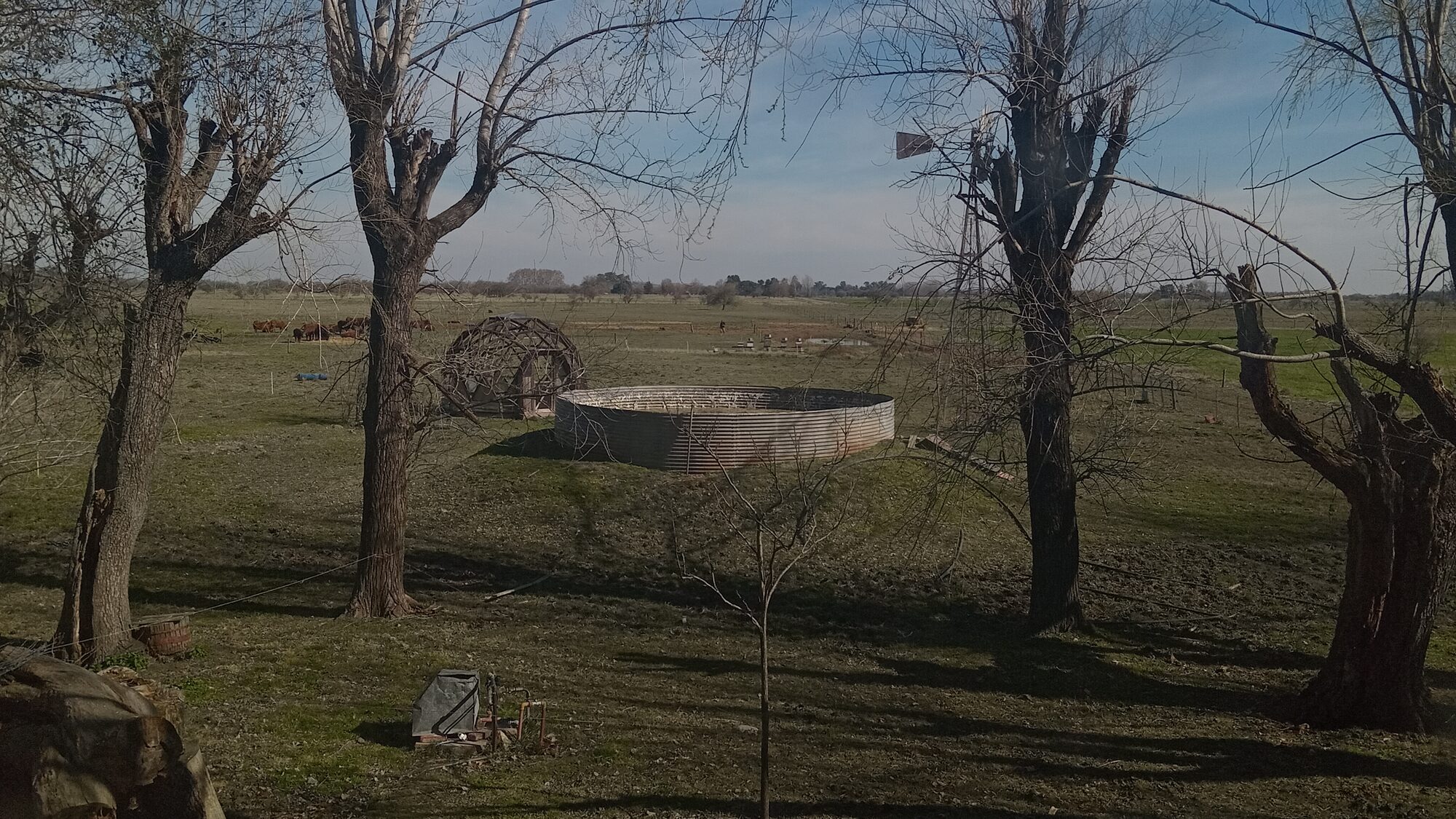 Vicente Casares - Campo — foto 16
