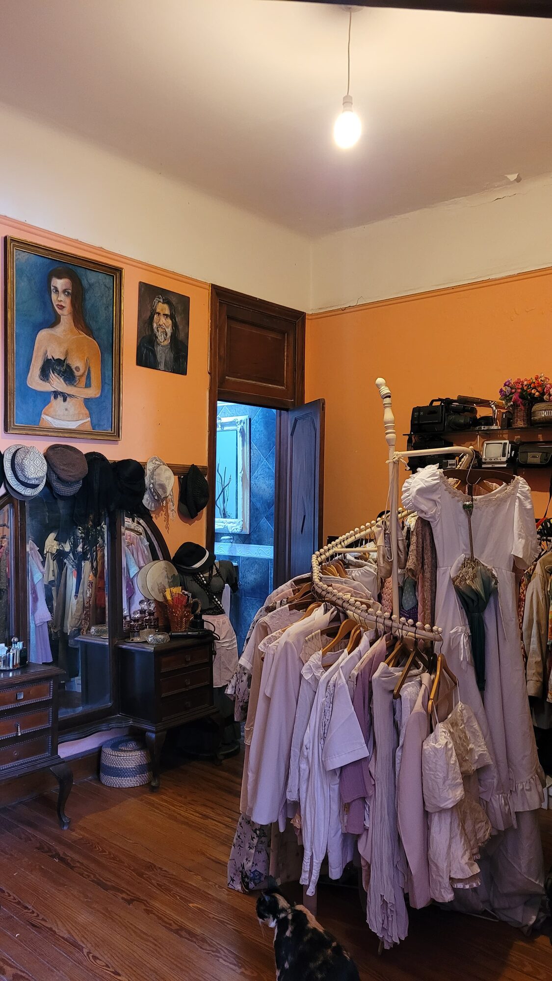 Sector de vestuario