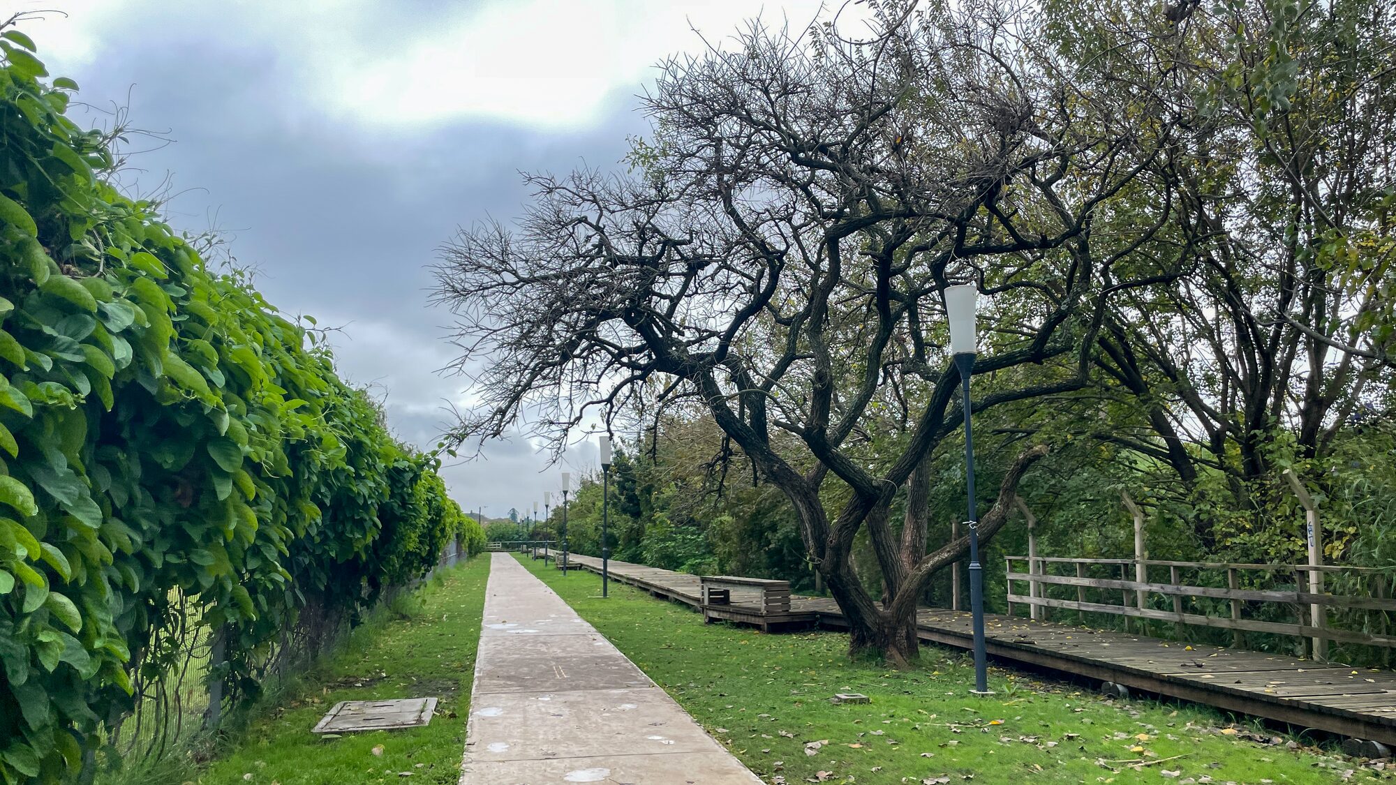 CASA La Lucila - cerca al río — foto 08