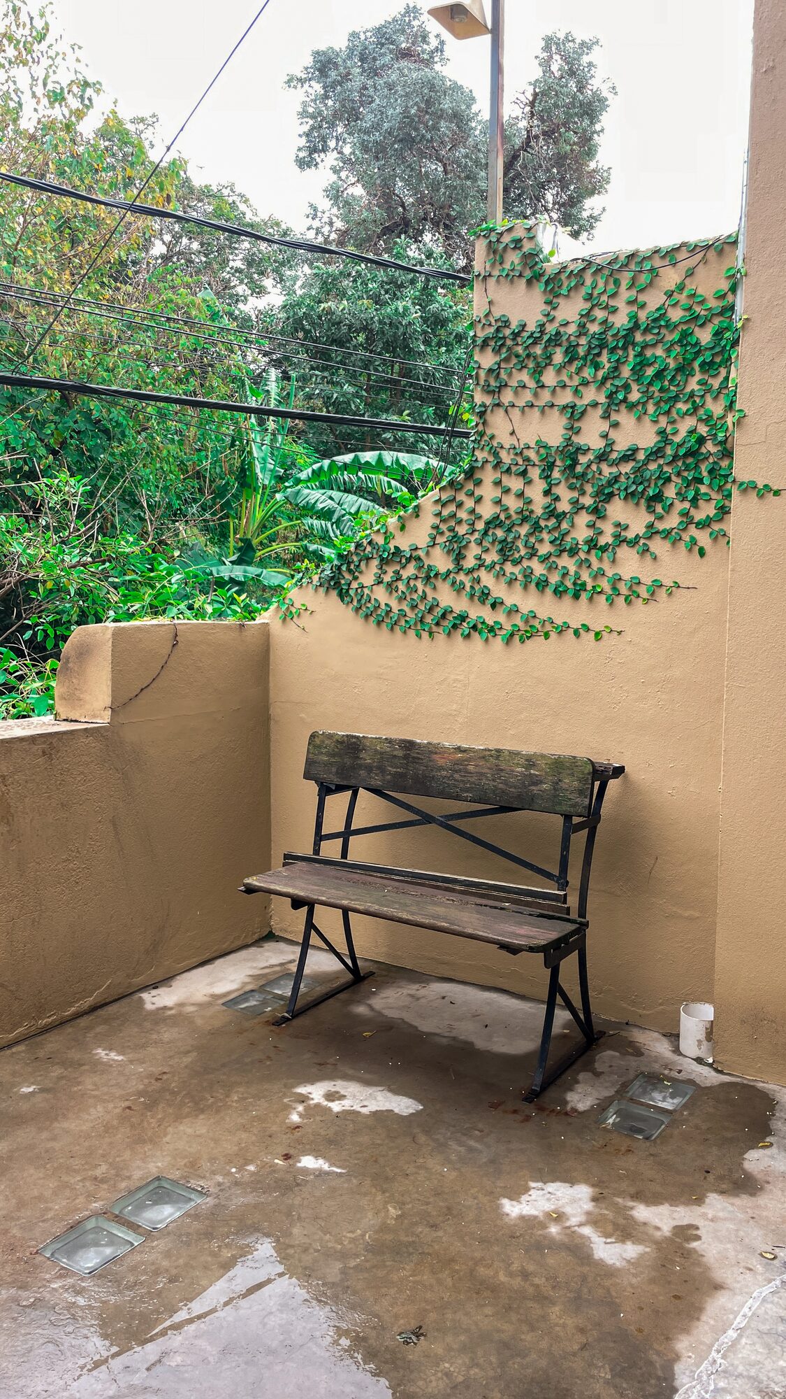 Terraza