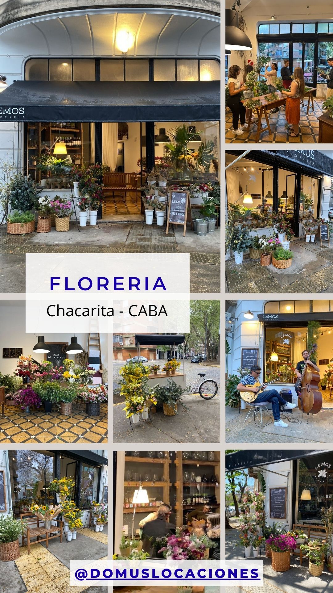 21 floreria en chacarita caba
