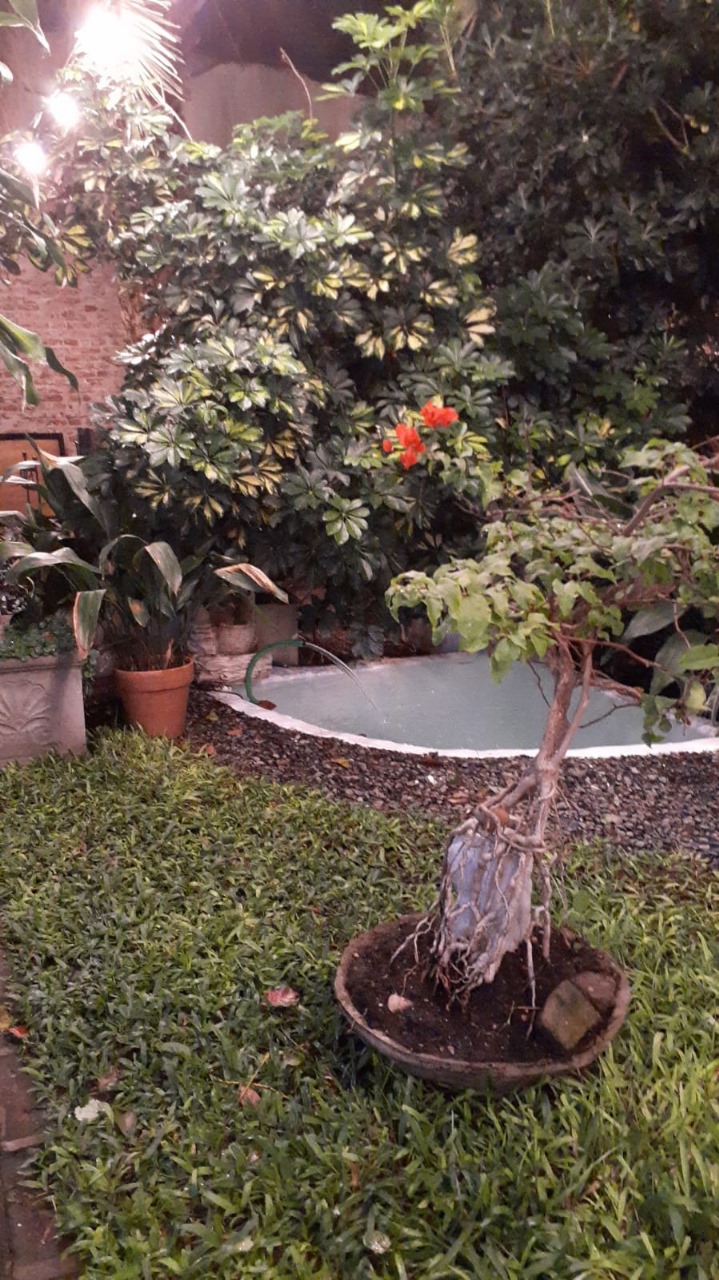 Casa estudio con Jardín. Belgrano - CABA — foto 16