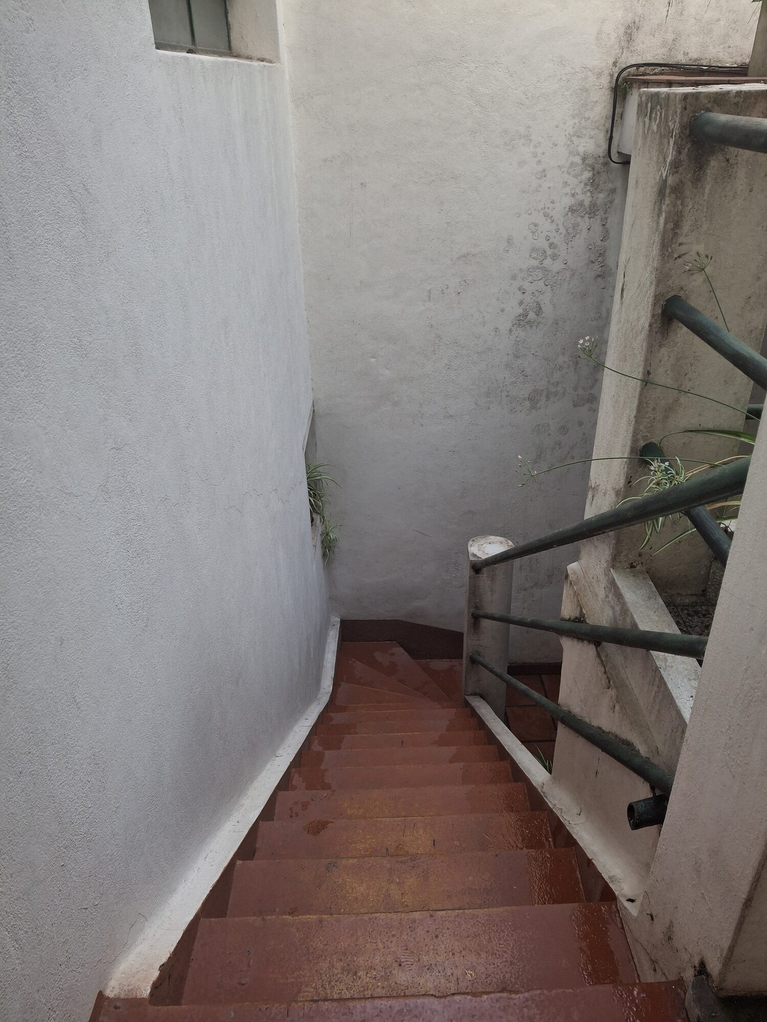 Casa y estudio + galpón - CABA Almagro — foto 36