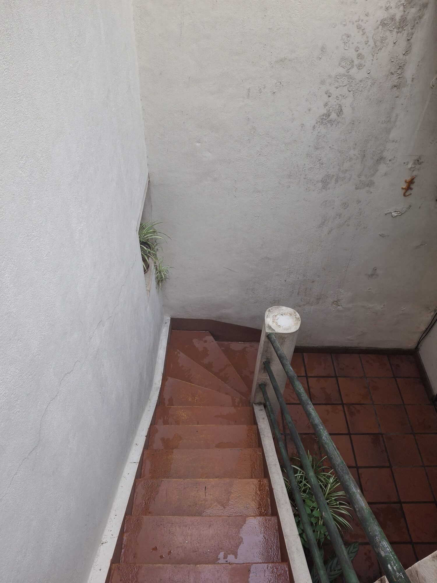 Casa y estudio + galpón - CABA Almagro — foto 43