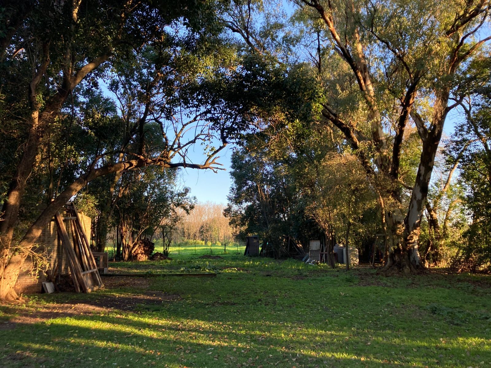 Campo Julio-Mercedes — foto 13
