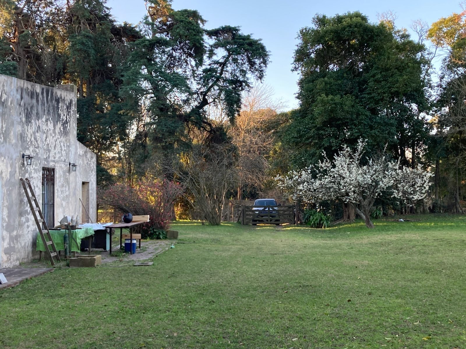 Campo Julio-Mercedes — foto 19