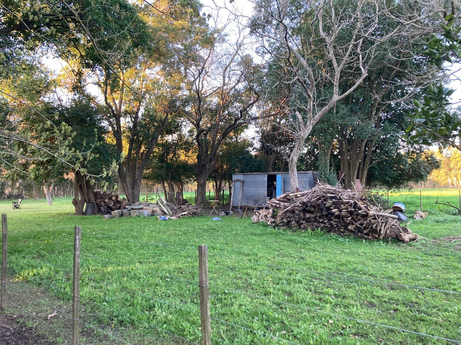 Campo Julio-Mercedes — foto 21
