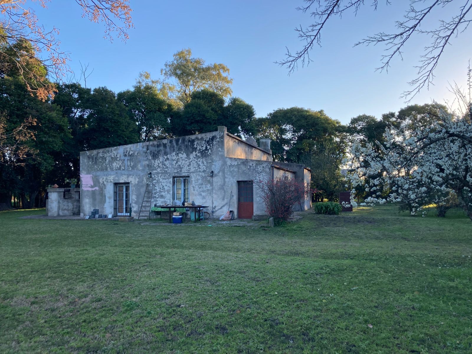Campo Julio-Mercedes — foto 22
