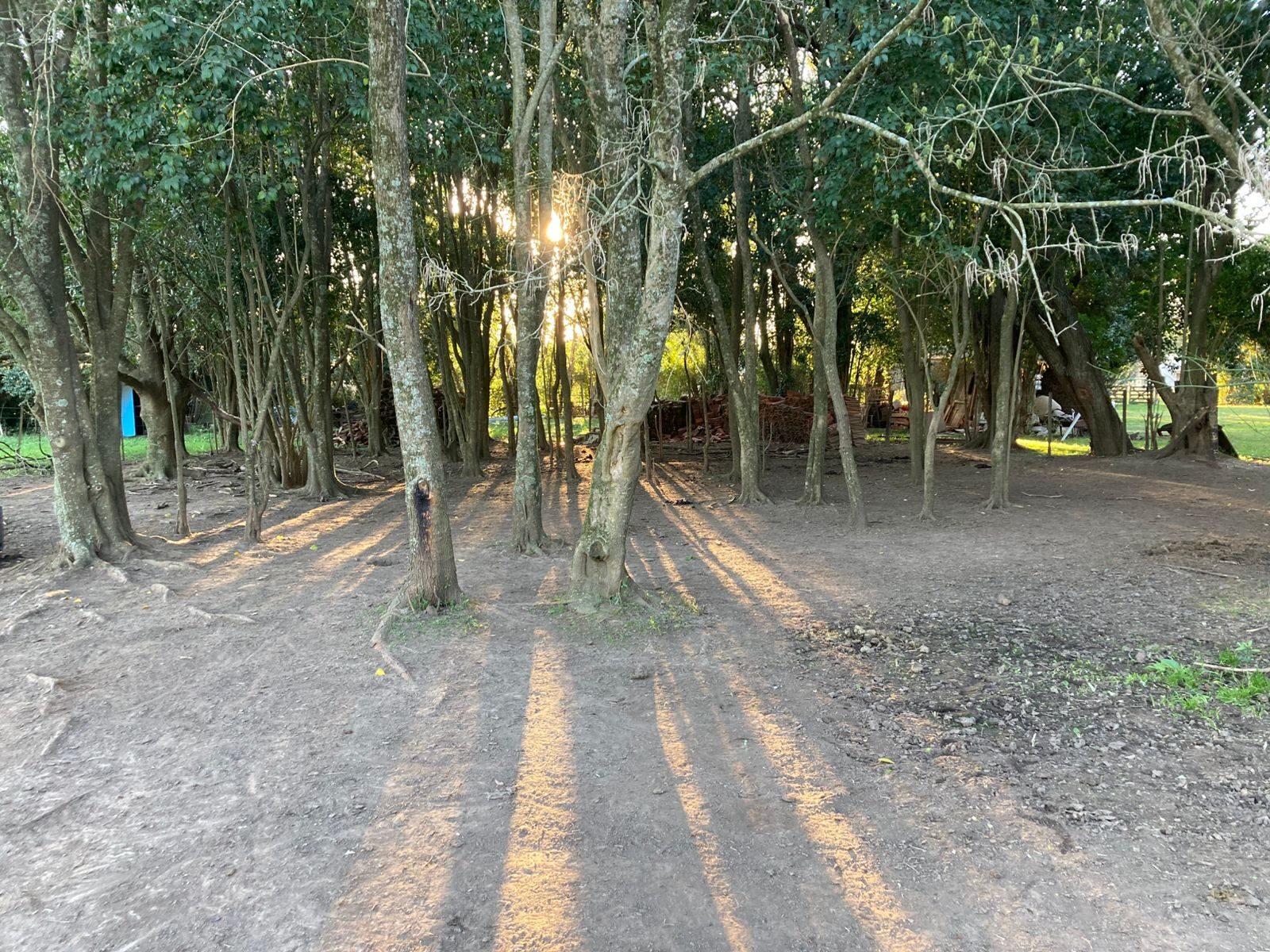 Campo Julio-Mercedes — foto 23