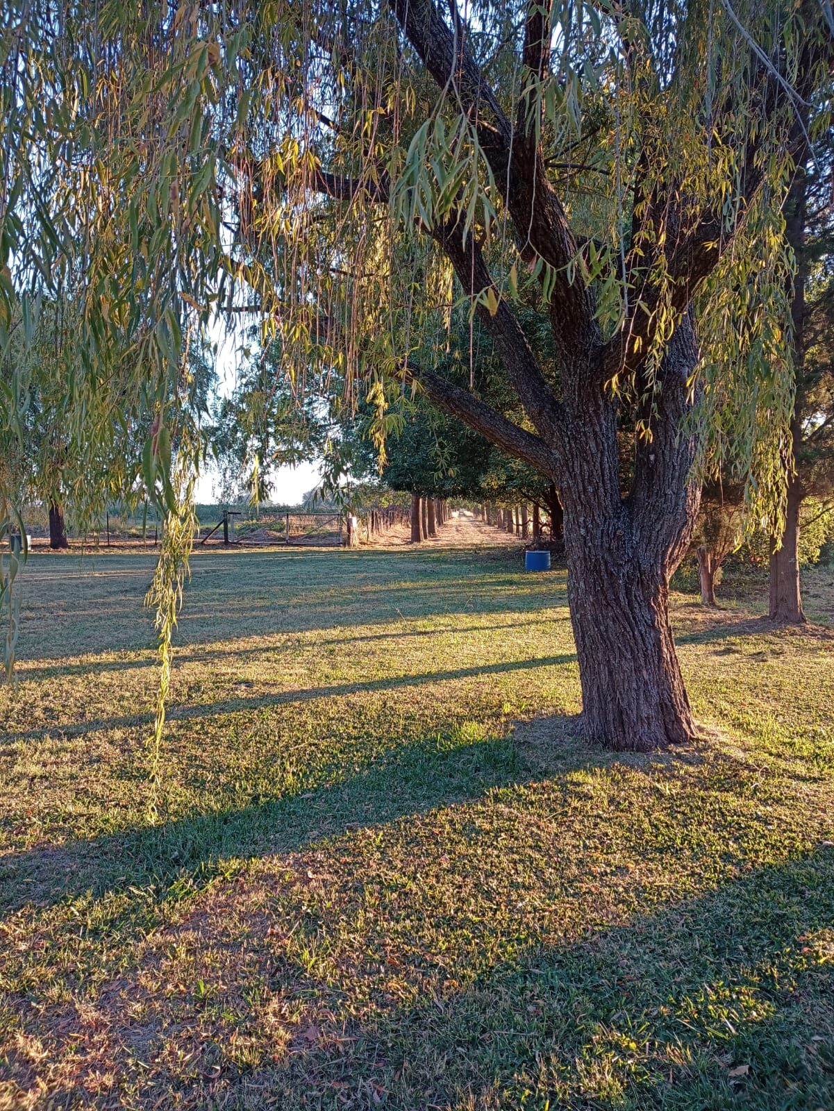 Casa quinta rural-S.A de Giles — foto 11