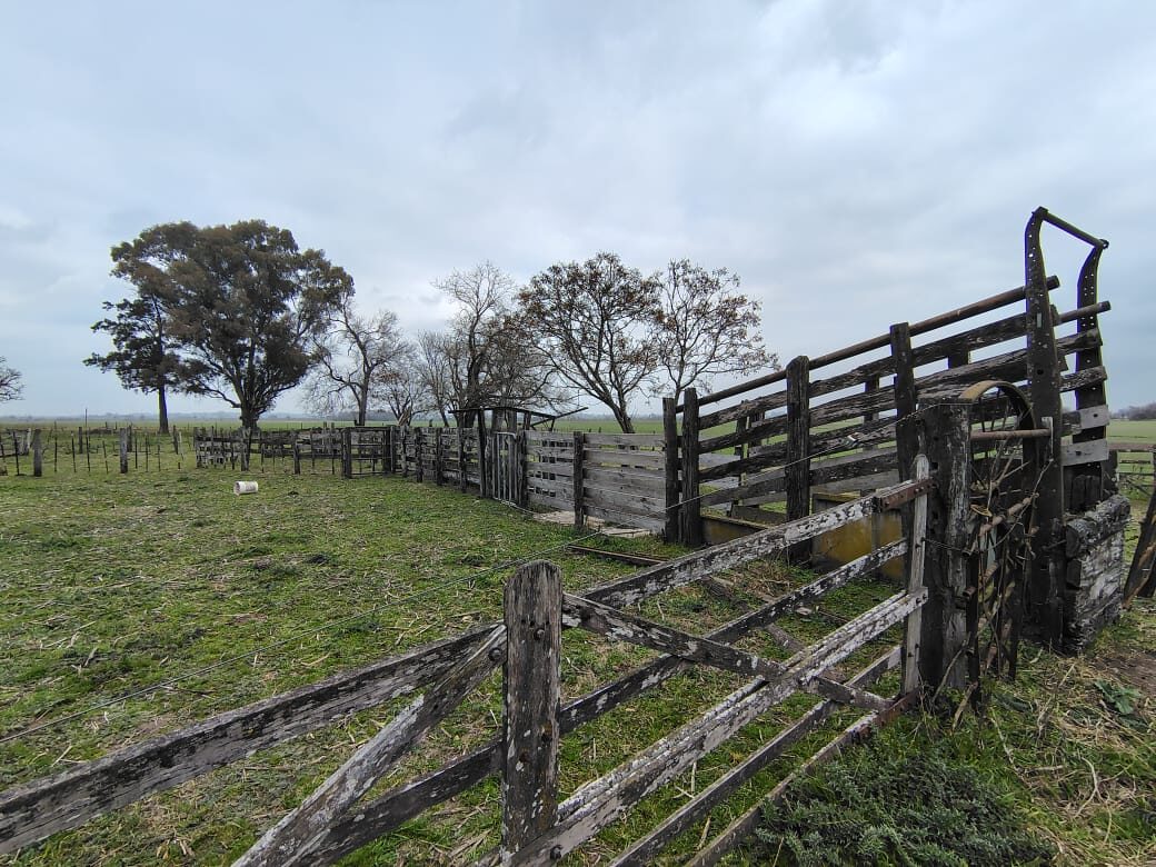 Campo La Cañadita-Luján — foto 08