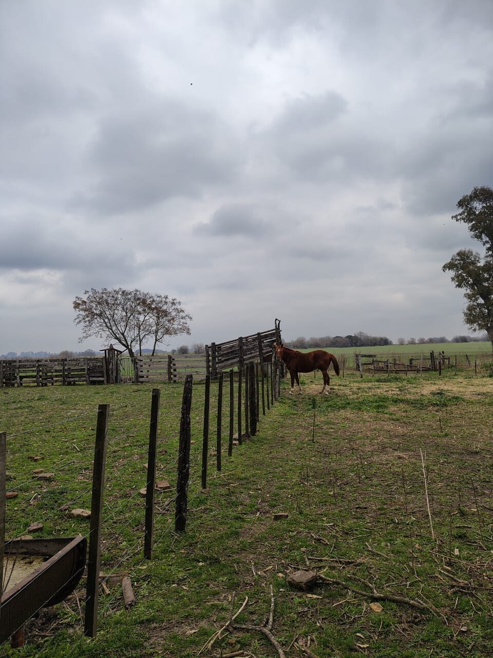 Campo La Cañadita-Luján — foto 09