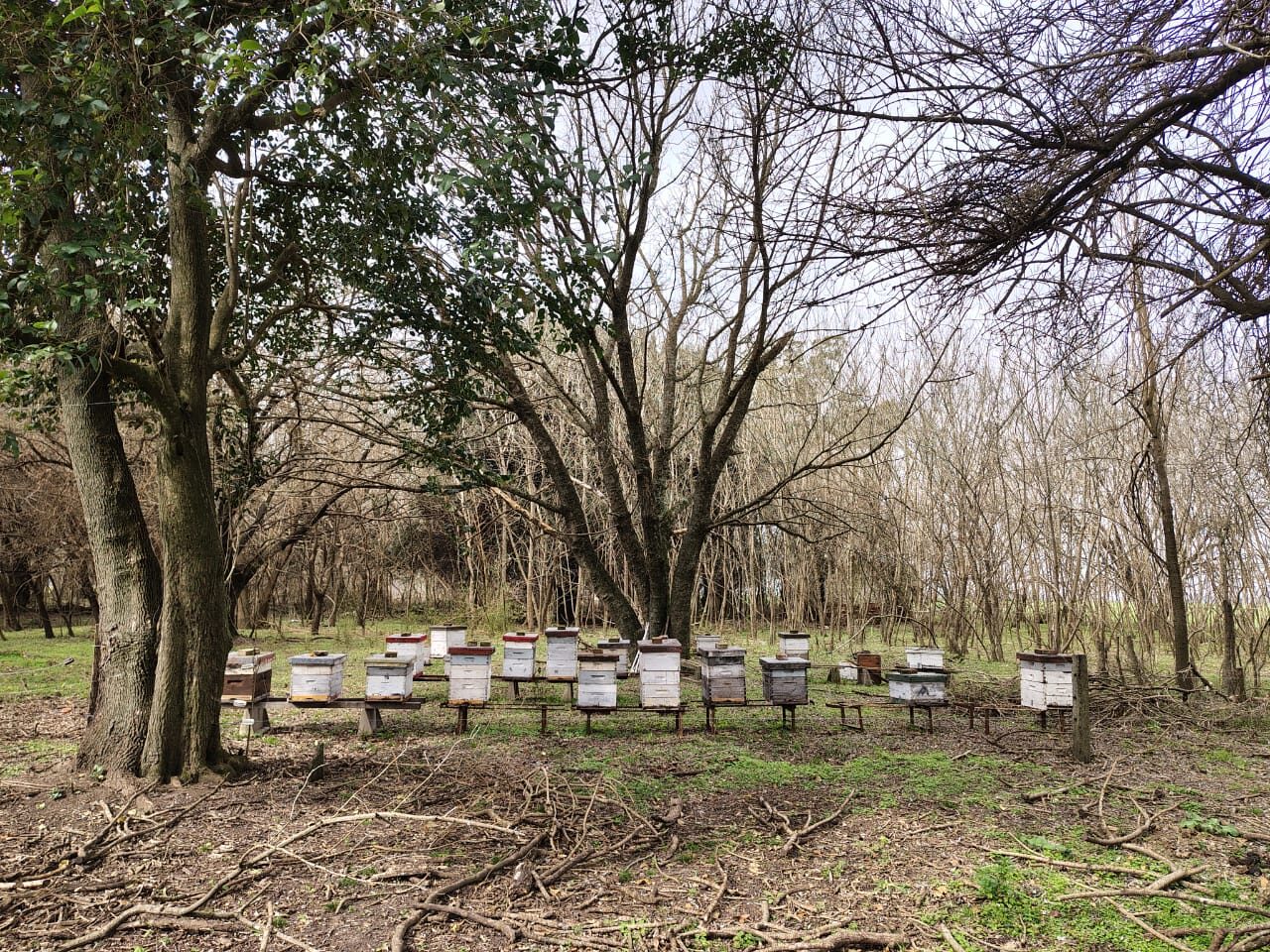 Campo La Cañadita-Luján — foto 10