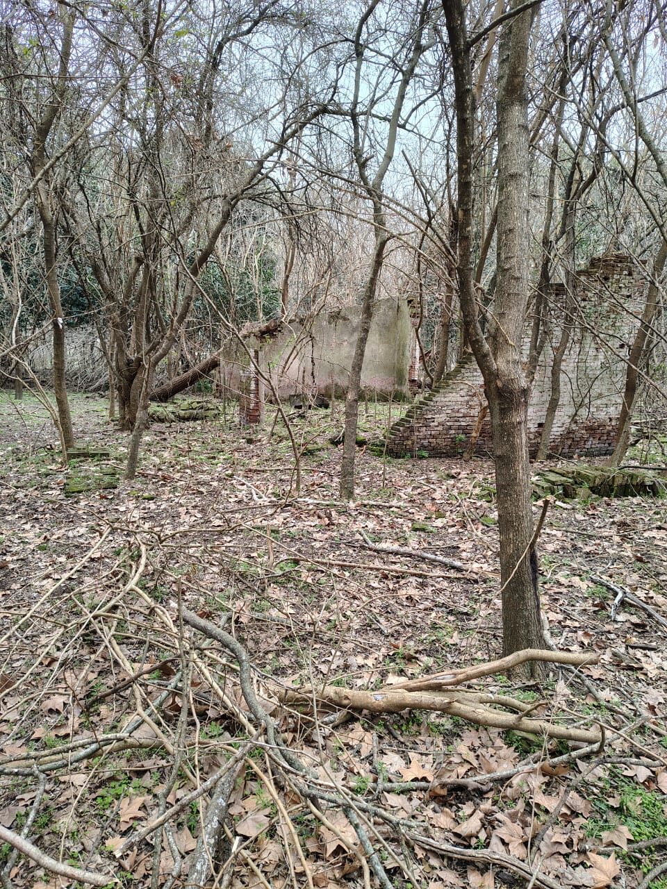 Campo La Cañadita-Luján — foto 12