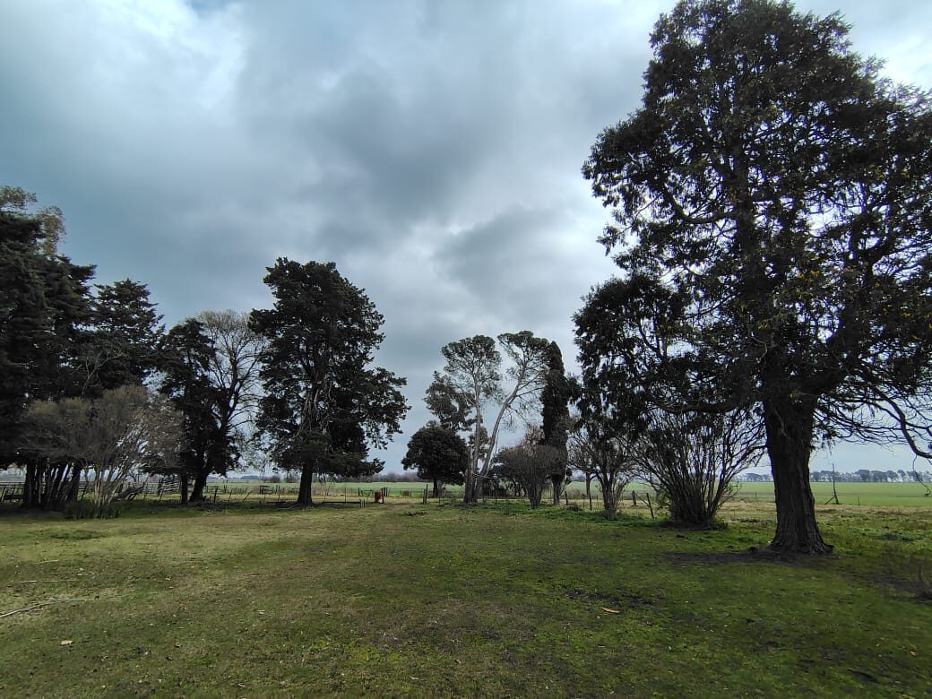 Campo La Cañadita-Luján — foto 19