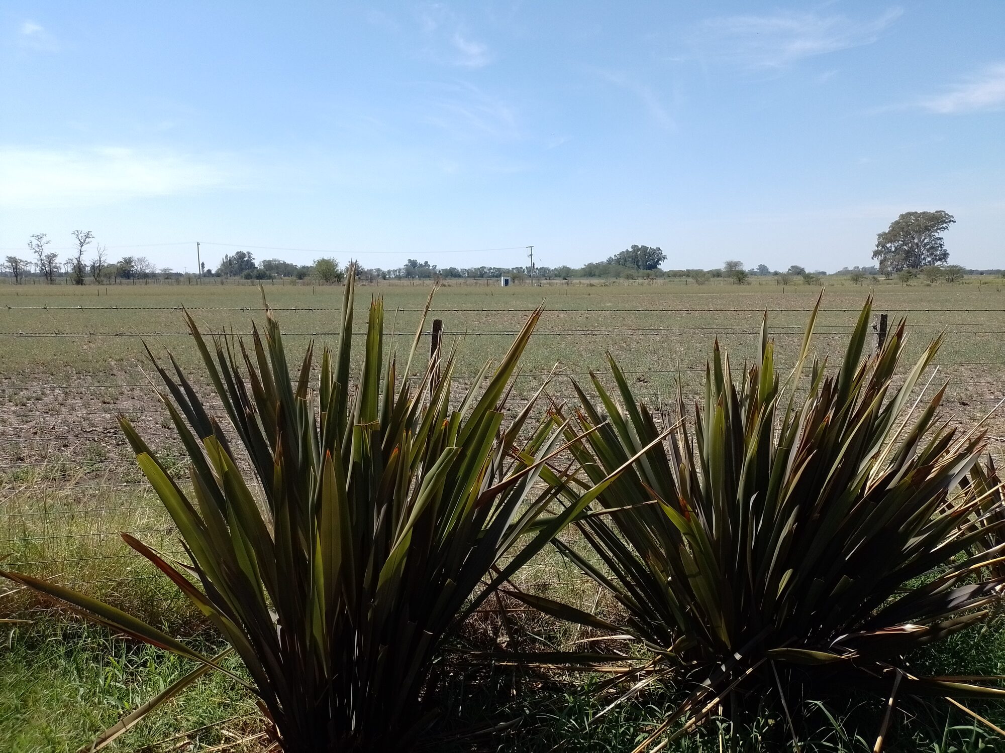Casa quinta- Chivilcoy — foto 23