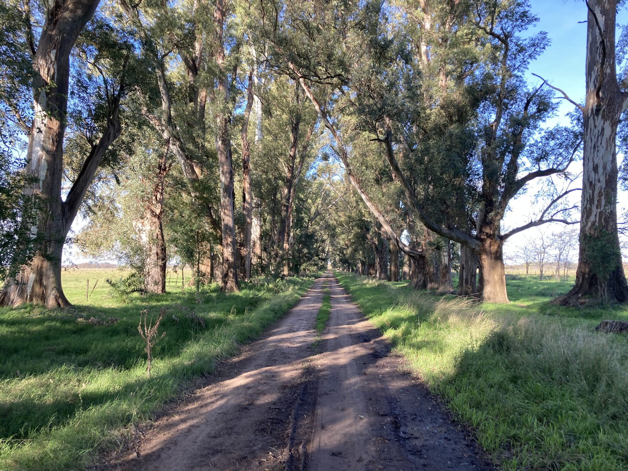 Estancia-Campo 1800-1900 — foto 13
