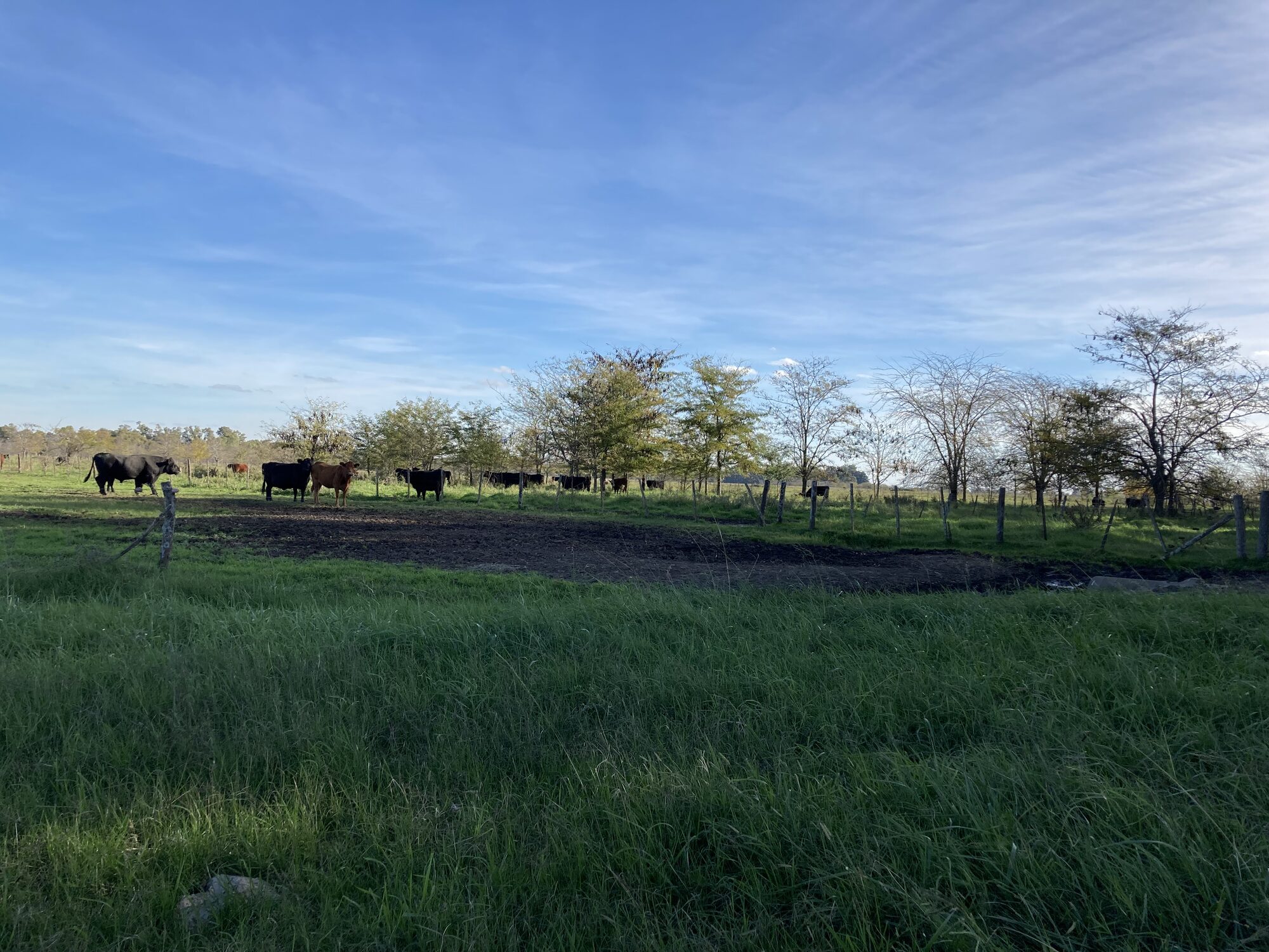 Estancia-Campo 1800-1900 — foto 27