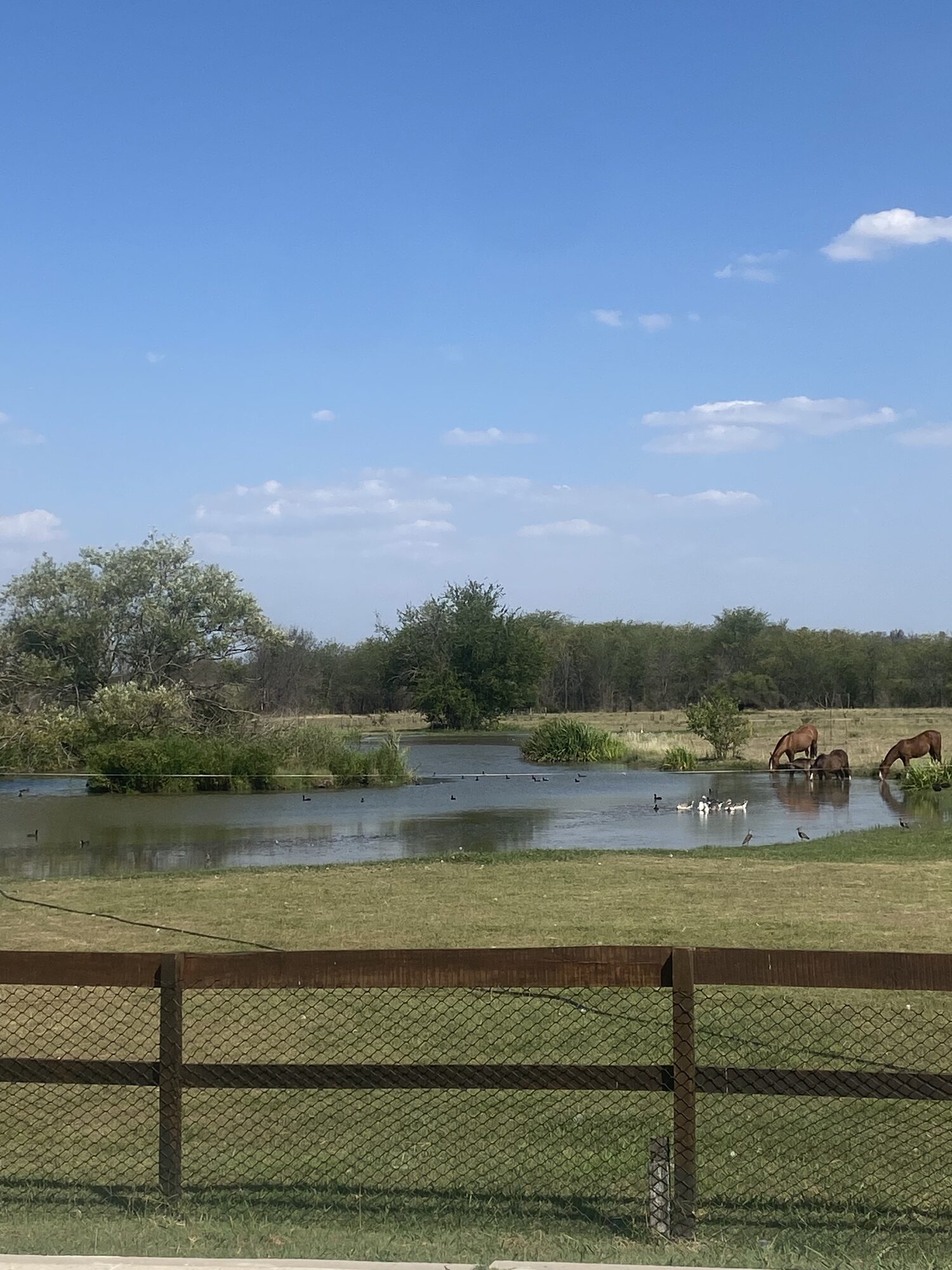 Estancia colonial-Luján — foto 09