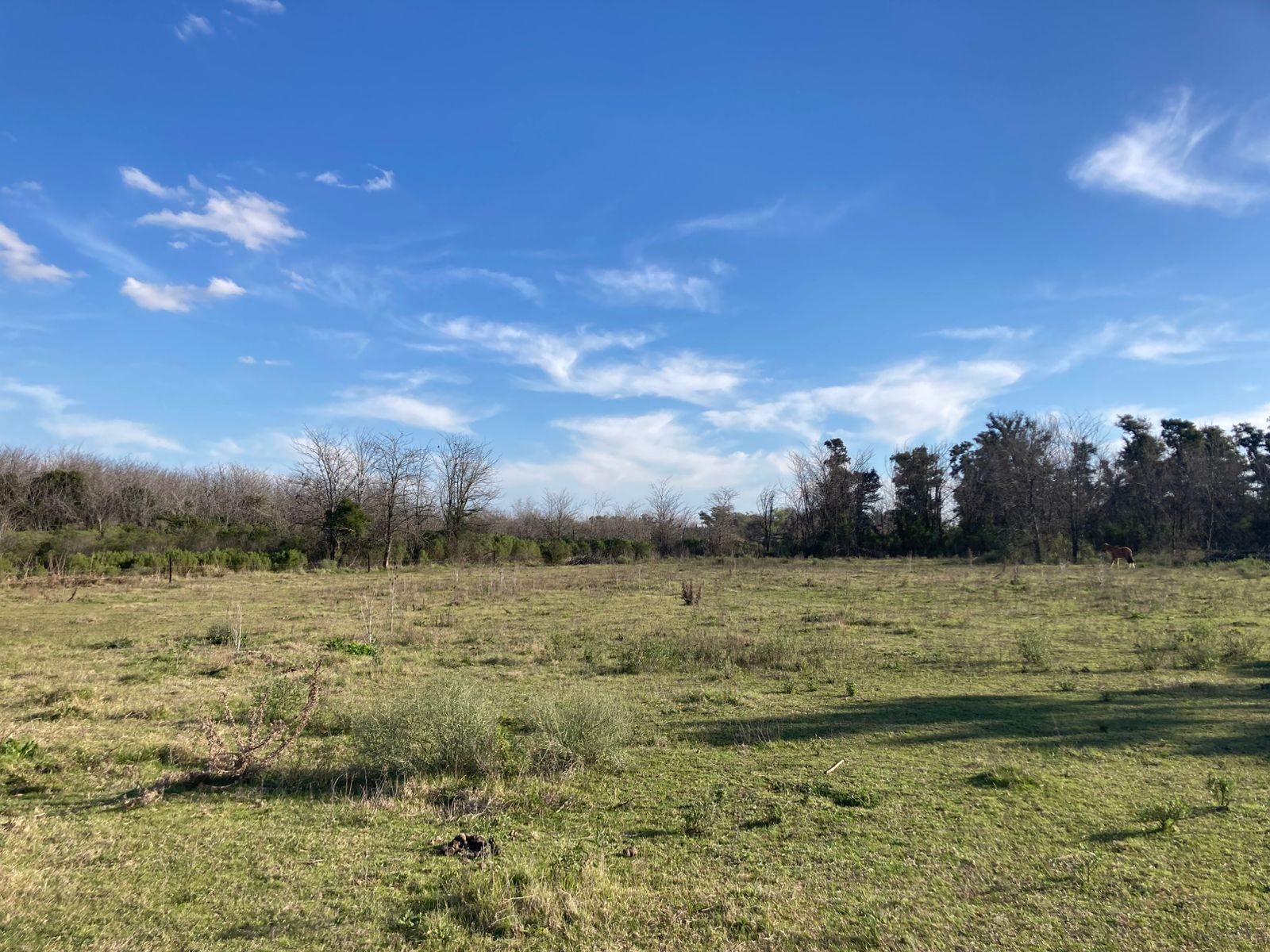 Estancia colonial-Luján — foto 21