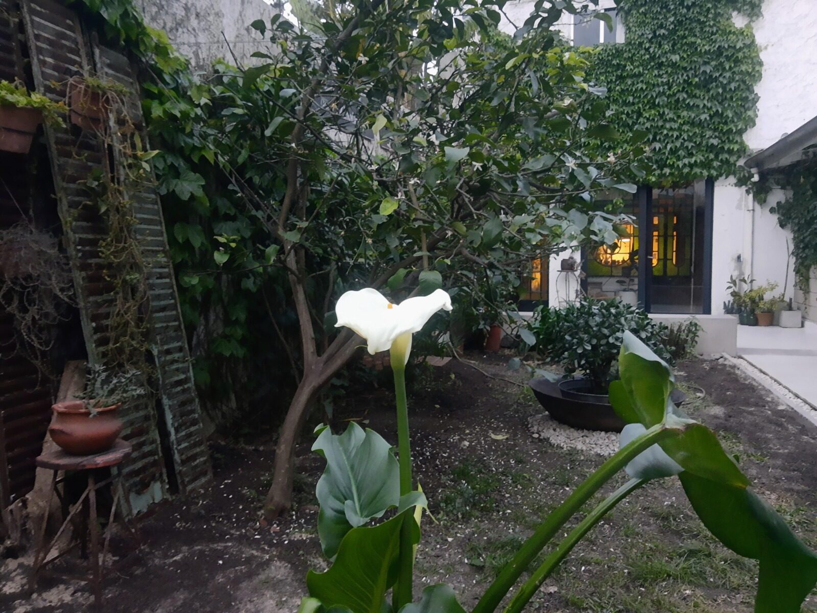 Casa en Caballito — foto 33